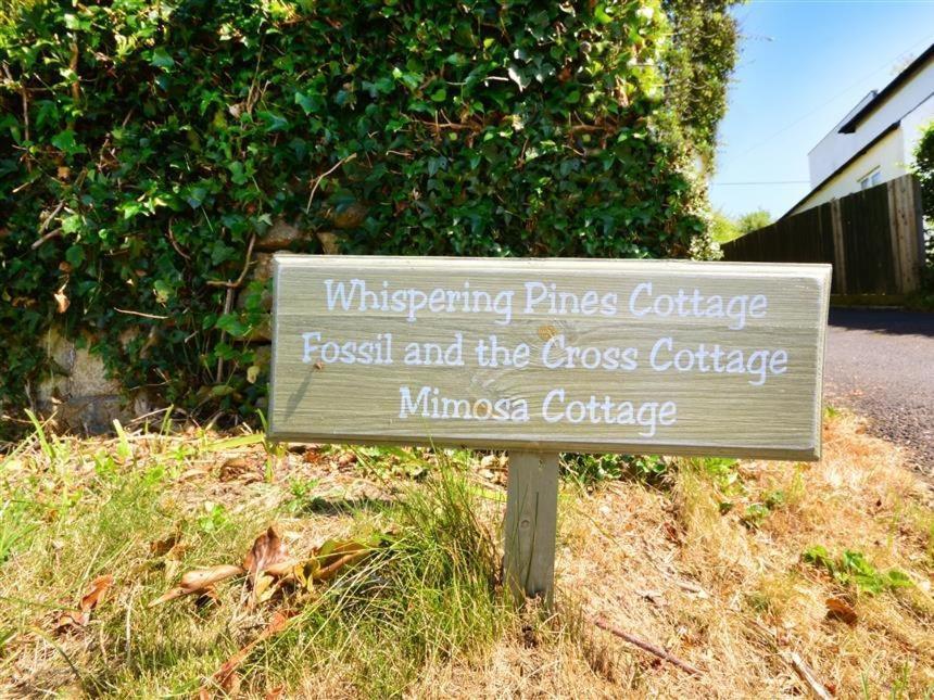 Whispering Pines Cottage Swyre Extérieur photo